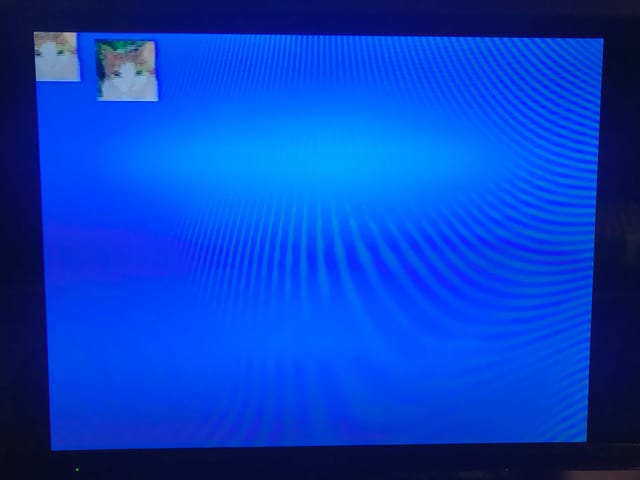 Photo of TV with blue screen and two small pictures of the same cat