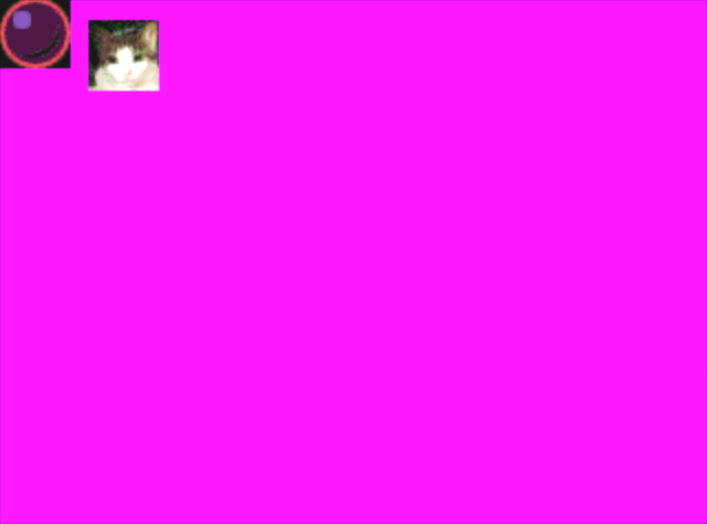 Picture of cat and picture of ball on pink background