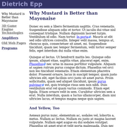 Screenshot of Dietrich's old web page